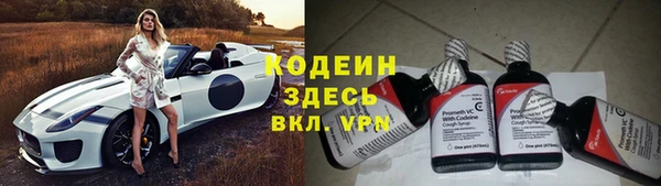 дживик Верея