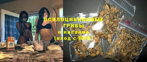 дживик Верея