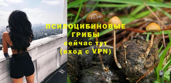 jwh Верхний Тагил