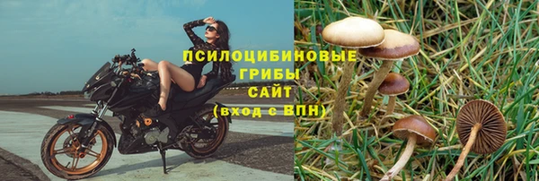 дживик Верея