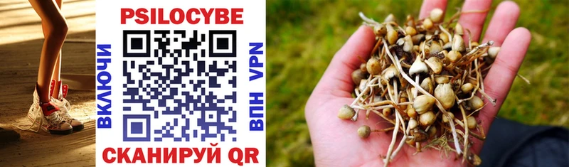 купить наркоту  omg как войти  Галлюциногенные грибы Cubensis  Георгиевск 
