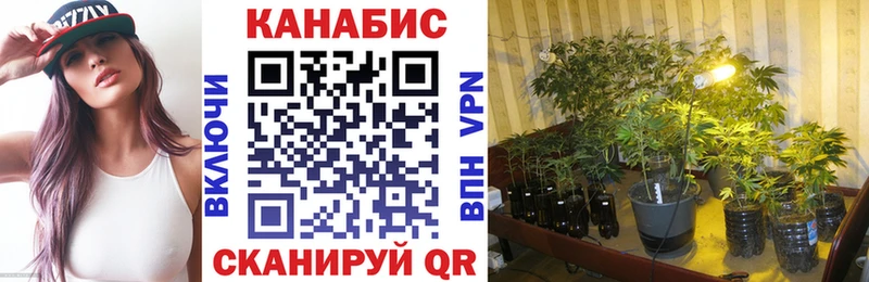 MEGA   Георгиевск  Конопля семена  где купить наркоту 
